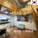 남이섬펜션 | 가평역 펜션 세네동 스파펜션 남이섬숙소 내돈내산 후기
