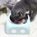 제이원피앤지 이미지