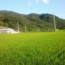 수일농장 이미지