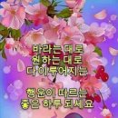 월세를 놓을까...? 삯월세를 놓을까. 이미지
