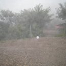 곡천민박 이미지