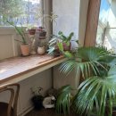 수우정보 이미지