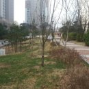 경희대석사 늘푸른태권도 이미지