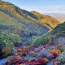 순라황토펜션 이미지