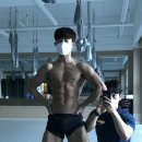 피티바디 이미지