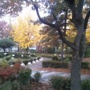 상수초교 이미지