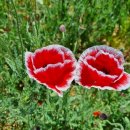 태진목장 이미지