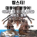 지오바다 하우스 낚시터 1월15,16일(금,토요일) 대광어! 붕장어! 써비스 방류!! 이미지