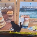 커피인(coffeein) 이미지