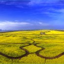 대저생태공원 이미지