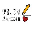 동의보쌈칼국수냉면