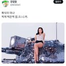 황금실내마차 이미지