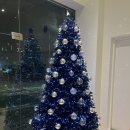 피렌체레스토랑 | 대구 구지면 데이트 맛집💑 조용하고 감성적인 이탈리안 레스토랑 벨라피렌체