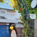 솔비디오 이미지