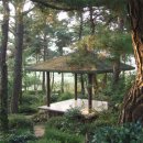 정원이 아름다운 집 이미지