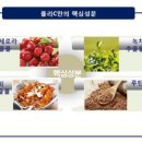 폴리체 이미지
