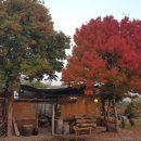 중앙로78번안길 이미지