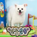 연두살롱 이미지