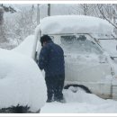 사슴자연 방목장 이미지