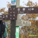 코코부동산공인중개사사무소 이미지