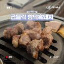 곱들락 | 제주 함덕 흑돼지 맛집 곱들락!목살 원픽 솔직후기!