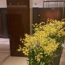 (주)메디컬라운지 이미지