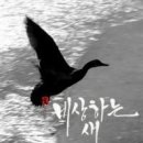 전라도싱싱횟집 이미지