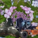 대창동010 이미지