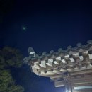 가지스테이 | 예산 수덕사 단풍 11월 템플스테이 후기, 나랑 별보러 가지 않을래?