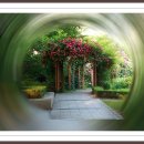 솔빛공원 2 이미지