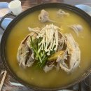 포레스트541 이미지