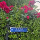 세븐일레븐 수원세류공원점
