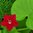 남순천의원 이미지