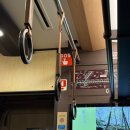 미인열차 | 4박5일 여행_4일차(교트레인 가라쿠, 청수사, 기요미즈데라, 말차아이스크림, 월하미인, 오레타치노카레야)