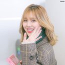 밈밈 이미지