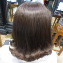 로즈-인 이미지