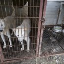 김성광 농장 이미지