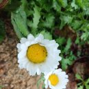 2024년 11월 15일 환경공단,센트럴파크 이미지