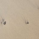 한옥스테이 북성리 이미지