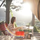 들꽃피는 언덕 이미지