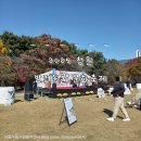 부산중앙고등학교 | 2025 제5회 창원 반려동물 문화축제 방문후기 (주차 정보, 부스배치도, 플리마켓)