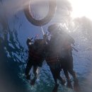 꿈나무 열대어 | [필리핀/보홀] 역대급 돌고래 왓칭 발리카삭 바다거북이 보홀션 프리미엄호핑투어 준비물 버진아일랜드