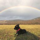 장례마트 이미지