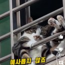 이*애 이미지