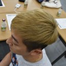 그린미용재료