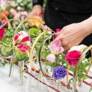 경기꽃화훼 이미지