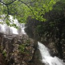 반딧불이민박 이미지