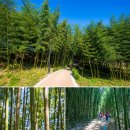 임월순 | 국내기차여행 1박 2일 곡성, 구례