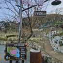 마전삼밭공원 이미지