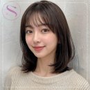 스테리헤어 네이버블로그
